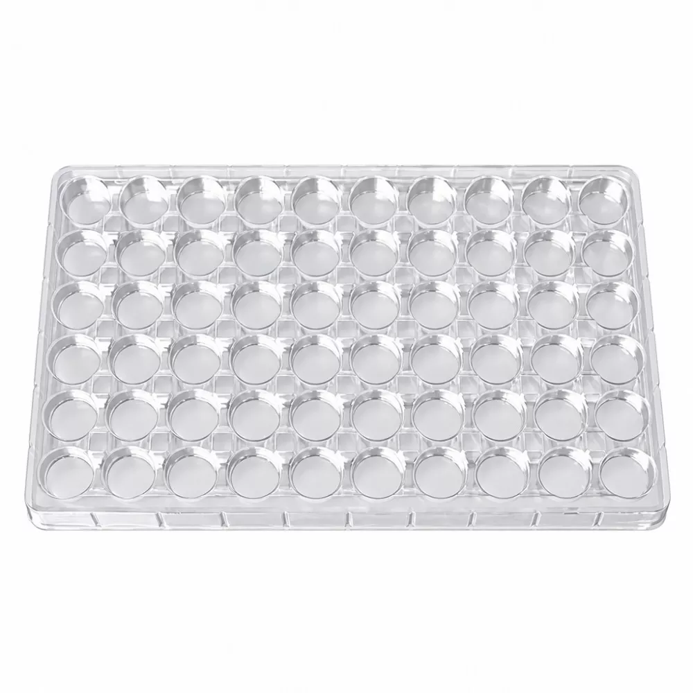 環境に優しい食品グレードの口紅トレイ