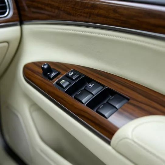 Plastic Wear-Resistant Automotive Interior Trim Buttons